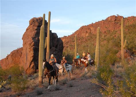 White stallion ranch arizona usa - Book White Stallion Ranch, Tucson, Arizona on Tripadvisor: See 1,009 traveller reviews, 1,428 candid photos, and great deals for White …